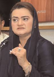 Nawaz Sharif to be next PM if voted to power: PM