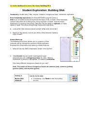 (ii)transfer of genetic information unchanged to daughter cell through replication ; 4 Drag One Of The Nucleotides To A Corresponding Nitrogenous Base On One Of The Course Hero
