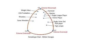 ectomorph endomorph or mesomorph train for your body type