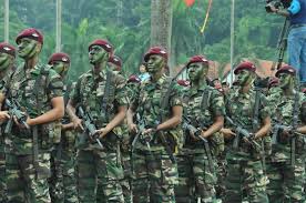 Jenis jenis pesawat tempur tentera udara diraja malaysia (tudm). Photojournalism Perarakan Hari Tentera Darat Malaysia