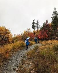Rever D Une Maison Retraite Zen Pour Faire Le Vide Turbulences Deco Holiday Rental Garden Seating Lisbon