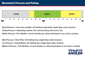 how barometric pressure affects fishing texas elite angler