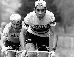 His best results are 34x stage tour de france, 5x gc tour de france and 5x gc giro d'italia. Der Kannibale Wird 75 Schwierig In Belgien Eddy Merckx Zu Sein Mehr Sport Derstandard De Sport