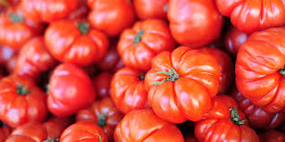 Fantasio tomato hybrid, red, globe, (8 ounces) resistance: 10 Common Types Of Tomatoes And What To Do With Them Myrecipes