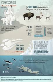 Frozen Planet Interactive Arctic Polar Bear Polar Bears Endangered