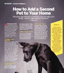 Seguin animal hospital reviews (www.seguinanimalhospital.com): Julie Delong Delffs Associate Veterinarian Kinard Creekside Animal Hospital Linkedin