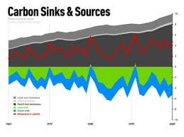 the carbon cycle conserve energy future