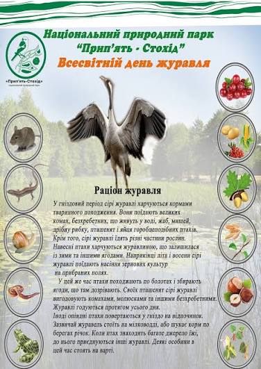 Друга неділя вересня – Всесвітній день журавля