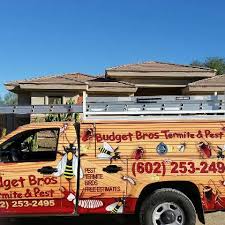 Pest control companies can install baiting systems around the house. Budget Brothers Termite Pest Reviews Glassdoor