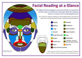 Facial Reading At A Glance Chart A4 A3 Sizes