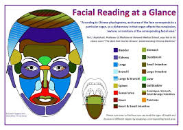 facial reading at a glance chart a4 a3 sizes