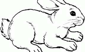Kalian bisa menggunakan contoh sketsa di bawah ini dan kalian bisa berimajinasi kucing seperti apa yang akan kalian gambar. 28 Sketsa Gambar Kucing Dan Kelinci Gudangsket