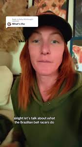 Replying to @Katsy Rohrbough What’s the Brazilian barrel racing training  program? 40 min straight of long trotting/high lope circles, bending  flexing #barrelracing #horses #crossfit #intervaltraining