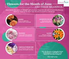 We did not find results for: June Birth Flowers Chappell S Florist