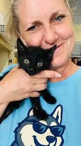 Kitten Escher finds furever home with new dad