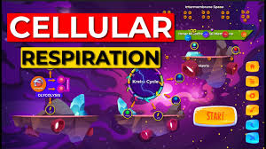 Check spelling or type a new query. Plant Cells Tagalog Youtube