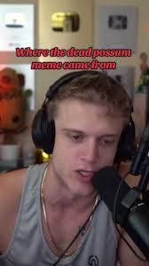 Opossum Qui Fait Le Mort