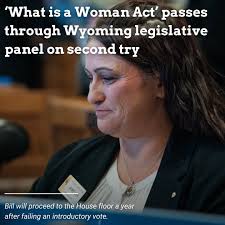A proposed Wyoming bill defining "woman" and "man" passed its first  committee hearing Wednesday morning, already making progress beyond that of  a similar bill filed last year. Rep. Jayme Lien (R-Casper) brought