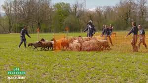 Ils rejoignent arthur au lycée agricole de contamine. Les Touristes Posts Facebook