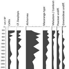 Image result for Dasylepis
