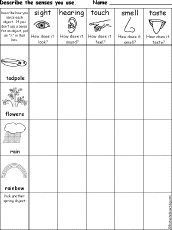 Which Senses Do You Use Spring Printout Enchantedlearning Com