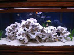 We did not find results for: Holey Rock View White Aquarium Rock Iwc Holey Stone Product Details From Ideal World Corporation On Alibaba Com In 2021 African Cichlid Aquarium Cichlid Aquarium Fish Aquarium Decorations