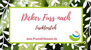 Dicker Fuss Nach Stich Achtung Insektenattacke Praxis Dr Med Kathrin Hamann Facharztin Fur Allgemeinmedizin