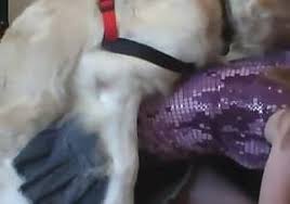 9 392 vuesil y a 3 mois la motarde se fait baiser par son chien en plein air. Zoo Porno Insane German Zoophilia Xxx Beast Tube