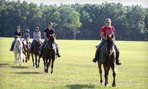 Horseback riding is a lot more than just sitting atop a horse; 52 Off Trail Ride Cactus Jack S Trail Rides Groupon