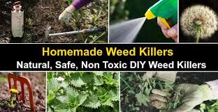 5.) grassy weed control (for lawns) this is going to be quinclorac. 13 Homemade Weed Killers Natural Safe Non Toxic Weed Killers