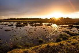 5413 s avalon blvd, los angeles, ca 90011. Here S An Insider S Peek Into Isimangaliso Wetland Park