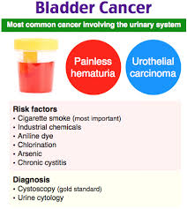 Pid, fibrosis, cervical stenosis, or endometriosis. Urological Cancers High Yield Flashcards Quizlet