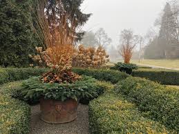 Dirt Simple Gardening And Landscape Blog By Deborah Silver Part 4 Garden Works Plants Container Plants