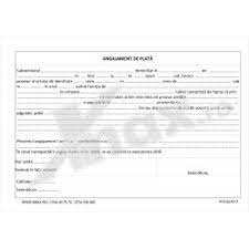 Se arată denumirea societăţii (unităţii) păgubite. Angajament De Plata 14 8 2 A