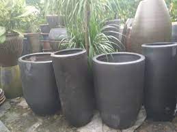 Walaupun di luar sejuk dan basah, beberapa pokok dan pasu pokok yang indah akan bermakna ia sentiasa musim panas di suatu tempat di rumah anda. Haji Nursery Lelong Lelong Pasu Besar Dan Sangt Sesuai Facebook