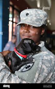 128 infantry hi-res stock photography and images