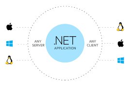 Pin On Www Developer Team