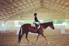 New users enjoy 60% off. Defining Horse Jargon Advanced Riding Terms Horses