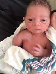 Shockey Family Newsletter