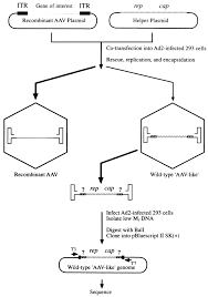 Image result for Black 1998 AAV