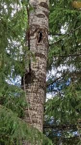 Image result for site:byggahus.se byte-stock