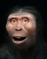 Chronologie de l'évolution de l'homme