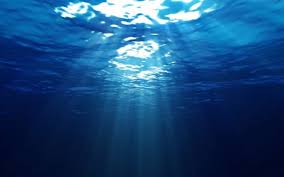 Palung laut menyimpan banyak misteri yang belum terungkap manusia. Definisi Karakteristik Dan Kehidupan Di Laut Dalam