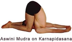 Aswini Mudra 20 Essential Mudras Of T Krishnamacharya