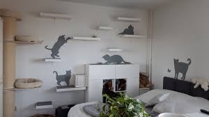 Diy Cat Walk Mit Ikea Lack In 2020 Ikea Ikea Mangel Katzen Wand