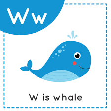 Daily spent over 40 years of experience as a tax attorney, helping individuals and small business owners make smart tax decisions and stay out of trouble with the irs. Learning English Alphabet For Kids Letter W Cute Cartoon Whale 2656712 Vector Art At Vecteezy
