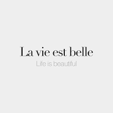 Reference is defined as a mention of a situation. Zsazsa Bellagio Like No Other Life Is Beautiful French Words Quotes Small Quote Tattoos French Quotes