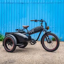 Image result for bicycle sidecar