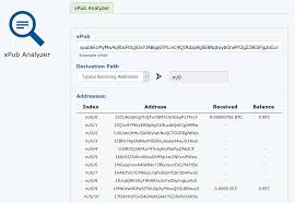 Bitcoin address generator in obfuscated python. Blockpath App Xpub Analyzer Blockpath