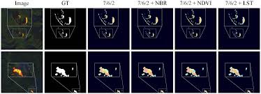 DAFDM: A Discerning Deep Learning Model for Active Fire ...
